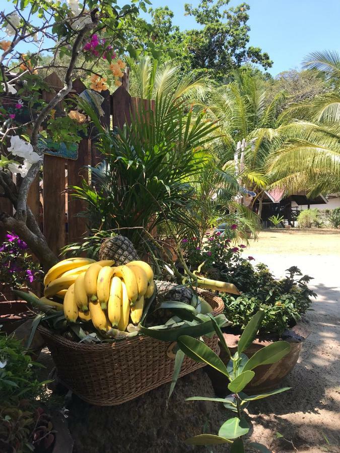 קו קארדן Kalume' Eco Boutique Resort-Adult Only מראה חיצוני תמונה
